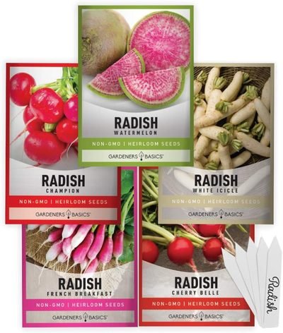 Gardeners Basics, Radish Seeds for Planting 5 Individual Packets -