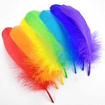 Piokio Colorful Goose Feathers in Bulk 4-6 inch(10-15 cm) for DIY