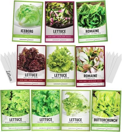 Gardeners Basics Salad Greens Seeds for Planting, 10 Heirloom Varieties